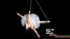 A ballerina holds on to steel chain hanging down. She wears a tutu and is posed in a strong and balletic position.